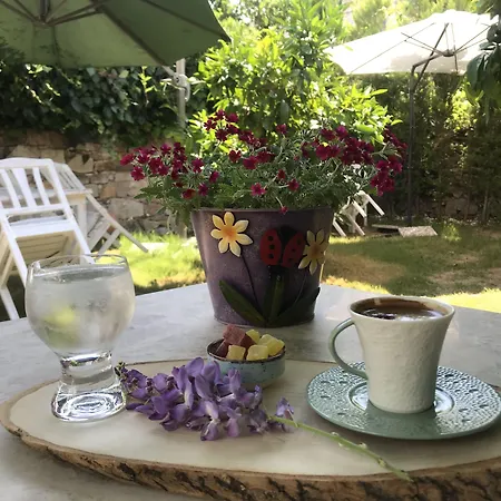 King Aegeus Szálloda Ayvalı