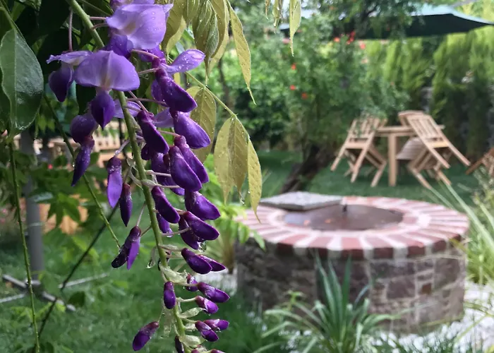 King Aegeus Ξενοδοχείο