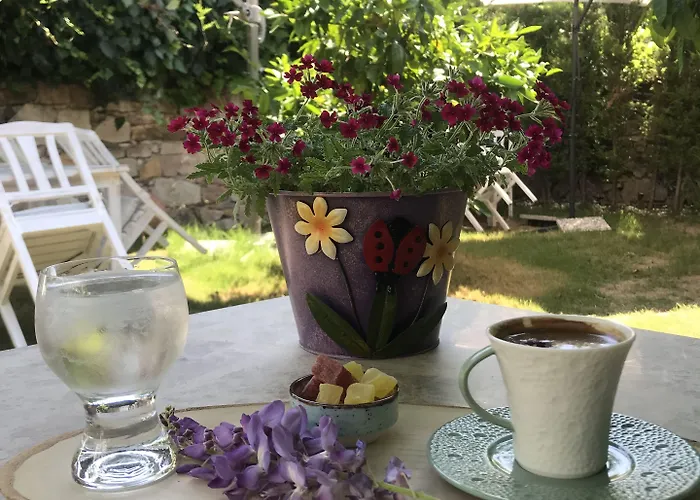 King Aegeus Ξενοδοχείο Ayvalı